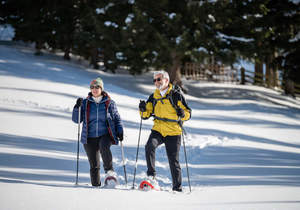 Wandern im Urlaub in der Steiermark